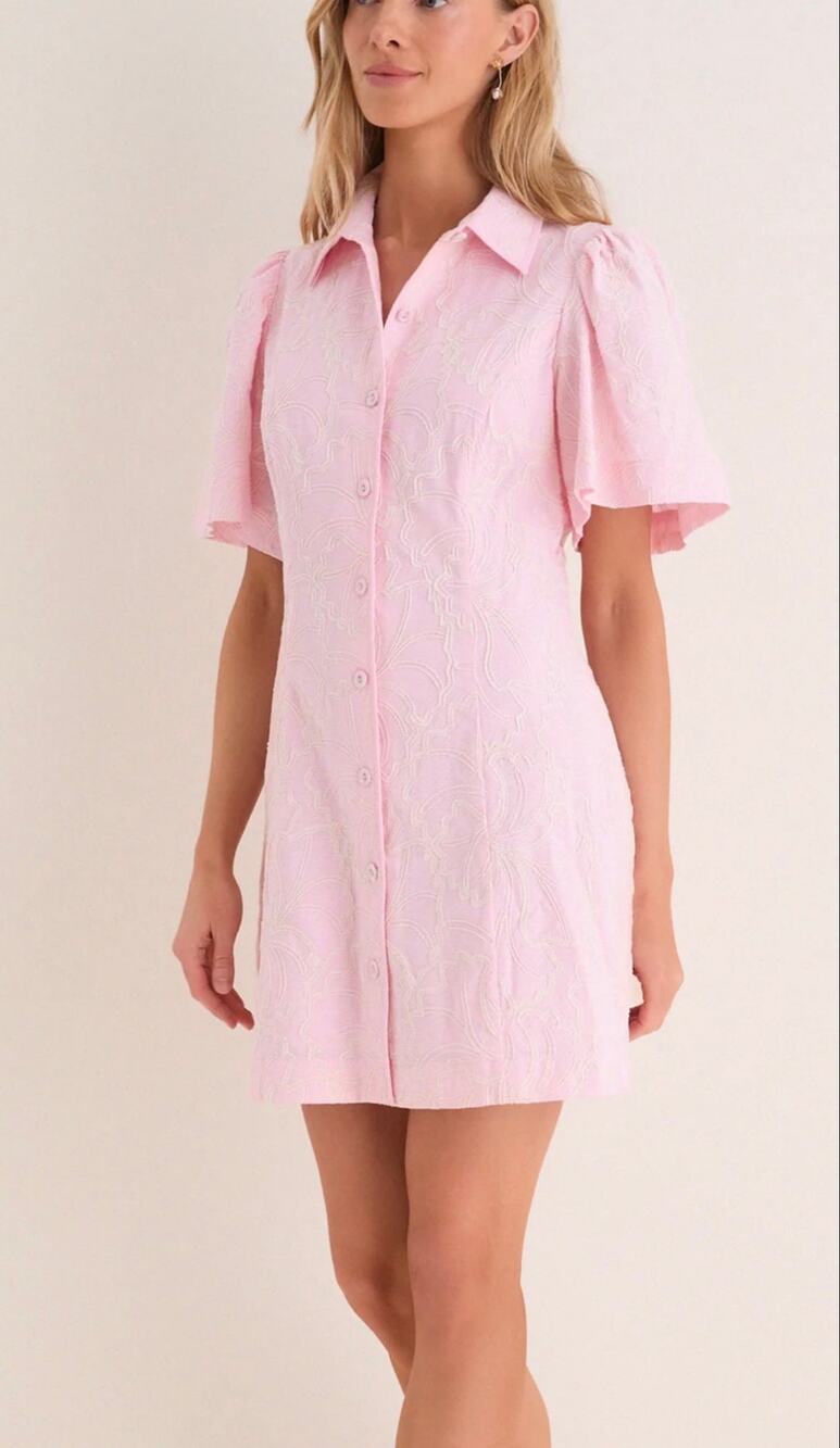 Tuckernuck Hyacinth House Pink Embroidered Gingko Leaf Peppa Dress nwt sm
$168